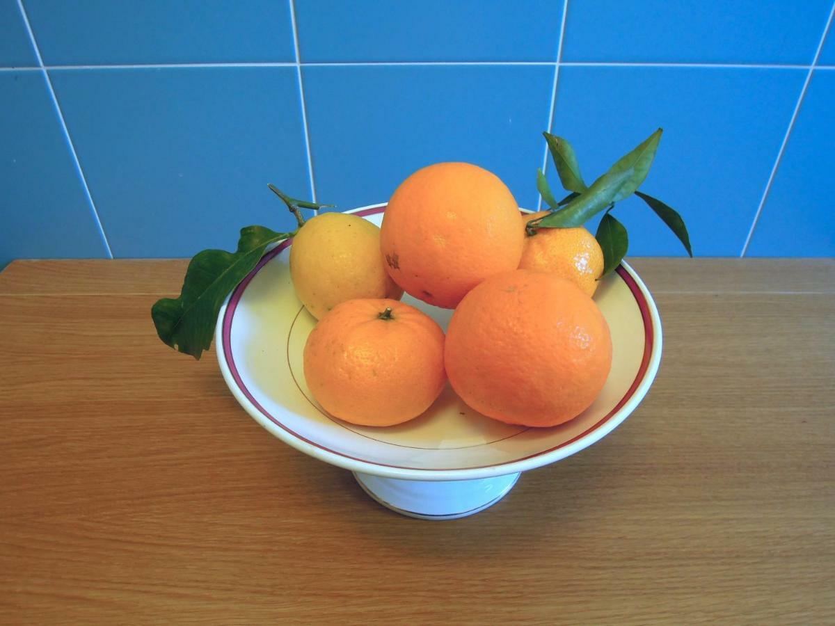 Casa De Angelis Orange & Blue Apartman Sant’Agnello Kültér fotó